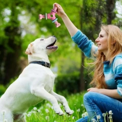 Dog Chew Toys For Cleaning Teeth Bite Resistant For Dogs Interactive Training Playing Toy Cleaning Teeth For Small And Large Dog