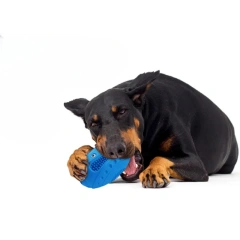 Sounding Rugby Pet Toy Natural Rubber Teething Toy Bite-resistant Tooth-cleaning Chewing Dog Toy