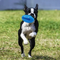 Sounding Rugby Pet Toy Natural Rubber Teething Toy Bite-resistant Tooth-cleaning Chewing Dog Toy
