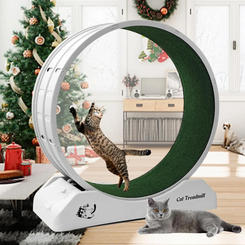 Cat Exercise Wheel Cat Wheels for Indoor Cats,Cat Treadmill Wheel Exerciser with Carpeted Runway, Cat Running Wheel