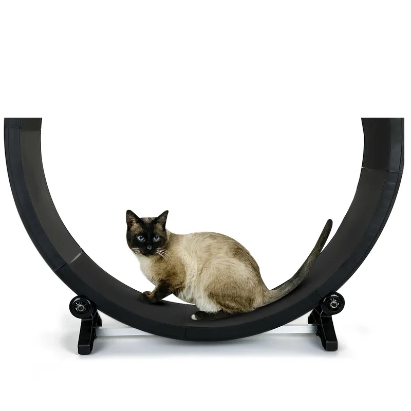 Cat roller treadmill Fitness paw grinding exercise pet treadmill Multifunctional silent treadmill Pet Fitness Furniture