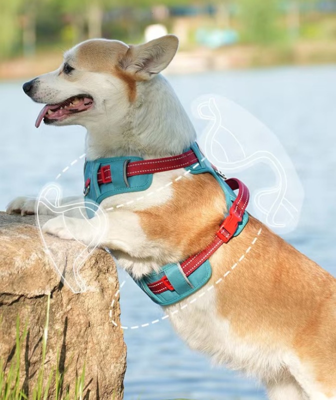 1pc Reflective Durable Pet Harness，Adjustable webbing make the harness Well-fitting for dogs，Soft and Breathable Mesh unde