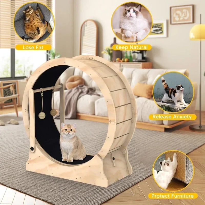 With Carpeted Runway and Cat Teaser Pet Toy Accessories Things Products,Toys for Cats Cat Running Wheel Treadmill