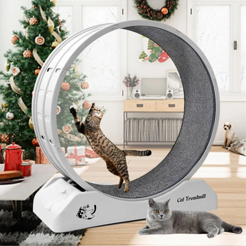 Cat Exercise Wheel Cat Wheels for Indoor Cats,Cat Treadmill Wheel Exerciser with Carpeted Runway, Cat Running Wheel