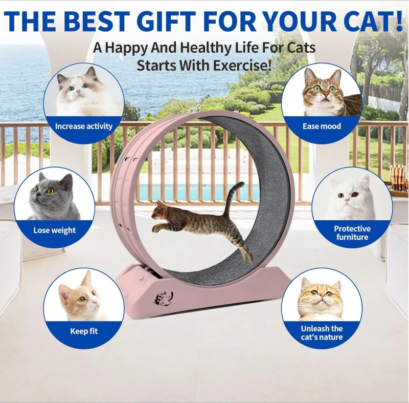 Cat Exercise Wheel Cat Wheels for Indoor Cats,Cat Treadmill Wheel Exerciser with Carpeted Runway, Cat Running Wheel