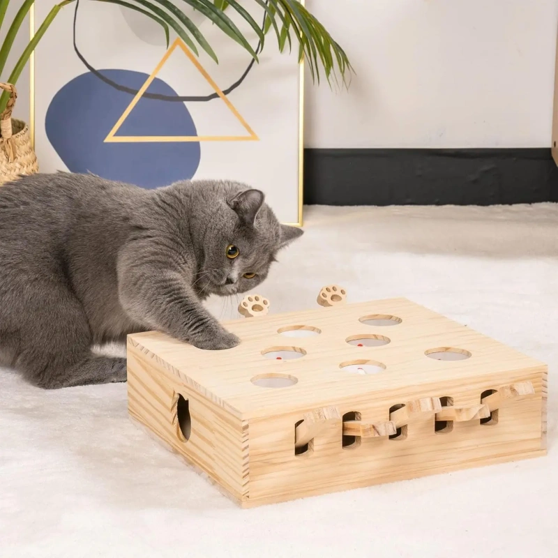 3-in-1 Cat Catcher and Toy, Mole Cat Toy, Bored Indoor Adult Cat Interactive Cat Toy, Cat Game (5 Holes)