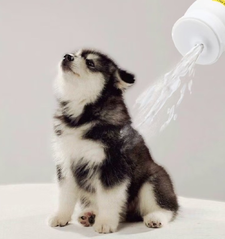 Pet Fruit Shampoo Set Custom Label Dog Shampoo Dry Powder Gift Box Four Bottles Of Pet Shampoo Cleansing Powder