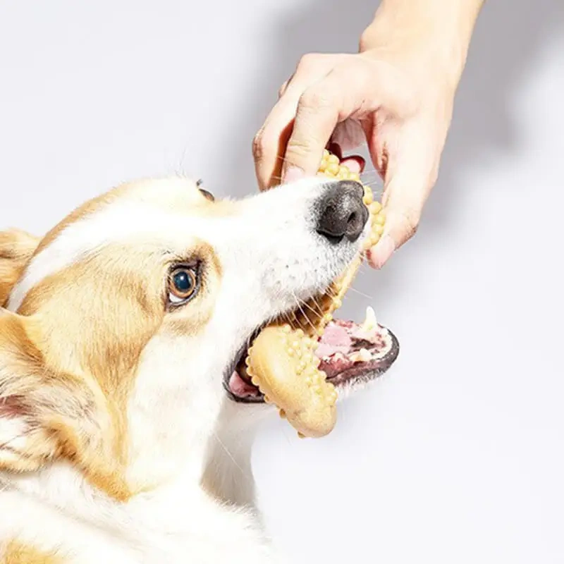 Wooden Dog Chew Stick Splinter-Free Dental Toy for All Breeds & Ages Non-Toxic Puppy Teething Stick