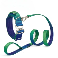 New 5mm Wide Pet Collar Gradual Change Color Traction Set Adjustable Nylon Dog Collar Supplies Medium and Large Dog Accessories