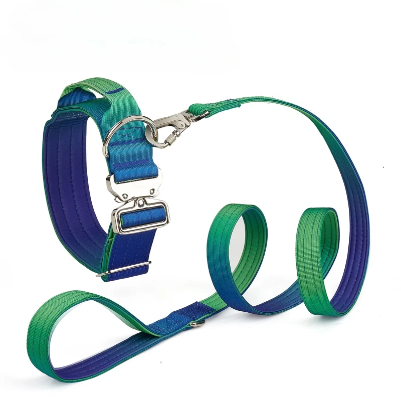 New 5mm Wide Pet Collar Gradual Change Color Traction Set Adjustable Nylon Dog Collar Supplies Medium and Large Dog Accessories