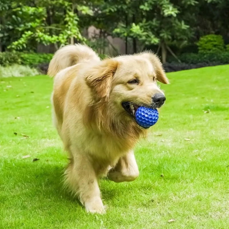 New Dog Toys Bite Resistant Interactive Throwing Sound Honeycomb Balls Natural Rubber Teething Clean Teeth Toys Pet Products