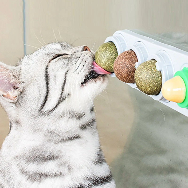 Natural Catnip Toys Silvervine Balls Teeth Cleaning Dental Wall Treats Extra Cat Energy Ball Edible Cat Lick Healthy Kitten Chew