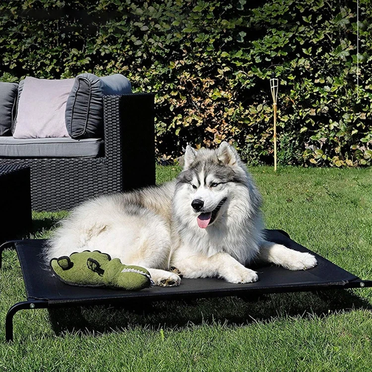 Pet Supplies Waterproof Wear-resistant and Easy to Carry Pet Camp Bed Mesh Dog Bed