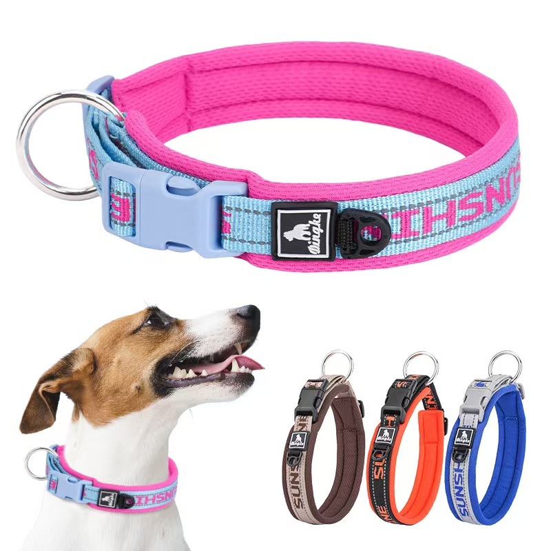 Dog Nylon Collar