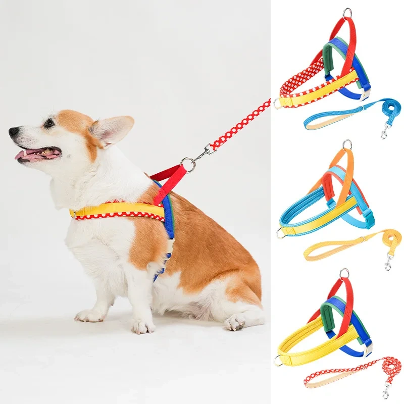Dog Harness and Leash Set, Easy Walk Dog Harness for Large Dogs, No Pull Puppy Harness for Walking and Training, Adjustable, Ta