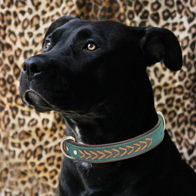 New Arrival Pet Collars Luxury Personalized Braided Designer Colorful Adjustable Leather Dog Collar Wholesale