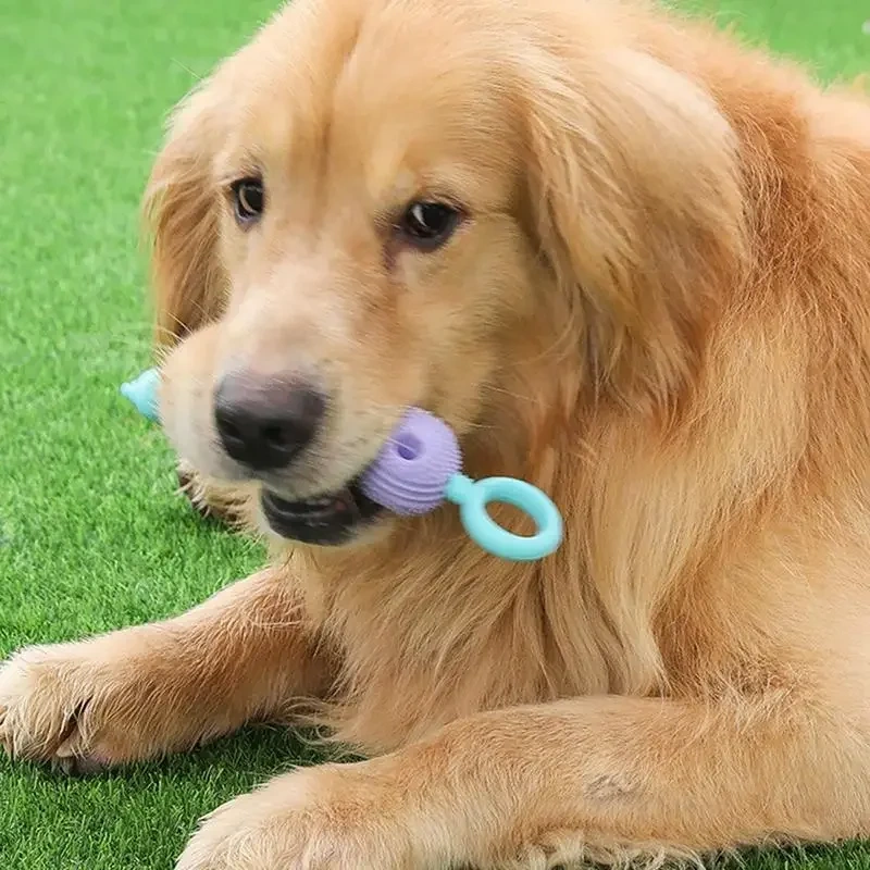 Dog Chewing Toy Tooth Cleaning Toy For Small Dogs Rubber Resistance To Bite Dog Toy Teeth Cleaning Chew Training Toys