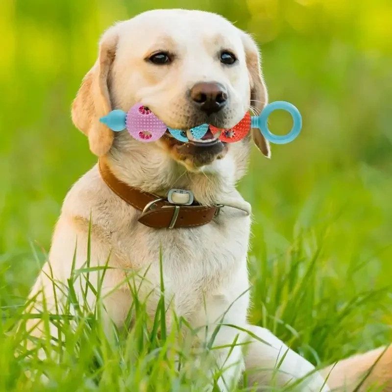 Dog Chewing Toy Tooth Cleaning Toy For Small Dogs Rubber Resistance To Bite Dog Toy Teeth Cleaning Chew Training Toys
