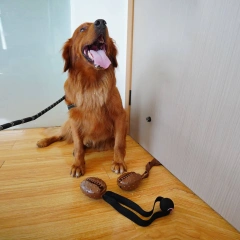 Coffee Bean Shaped Pet Chew Toy, TPR Durable Dog Chew Toy with Treat Dispenser Hole, Interactive Puppy Teething Toy