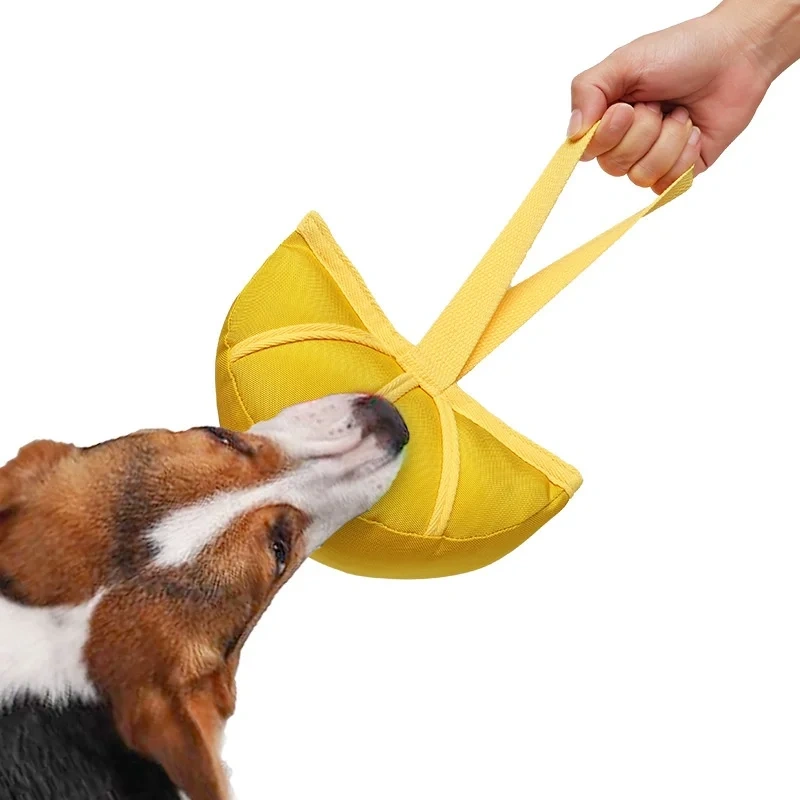 Interactive Solid Pattern Dog Training Toys Easy-to-Clean Pet Mats & Pads with Food Hiding & Sniffing Molars for Decompression