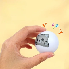 Pet Squeak Ball Toys Cat Indoor Interactive Play Supplies Kitten Chewy Resistant Teeth Grinding Puppy Throwing Training Products