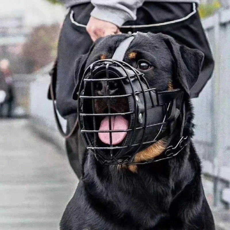 Tactical Mouth Cage German Wrangler Working Dog Training Big Dog Anti Bite Impact Practical Stainless Steel Cowhide Mouth Cover