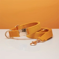 Dog Collar with Engraving Anti-Lost Small Outdoor Walking Dogs Leash Traction Rope Neck Medium Large Dog Corgi Neck Collar