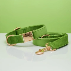 Dog Collar with Engraving Anti-Lost Small Outdoor Walking Dogs Leash Traction Rope Neck Medium Large Dog Corgi Neck Collar