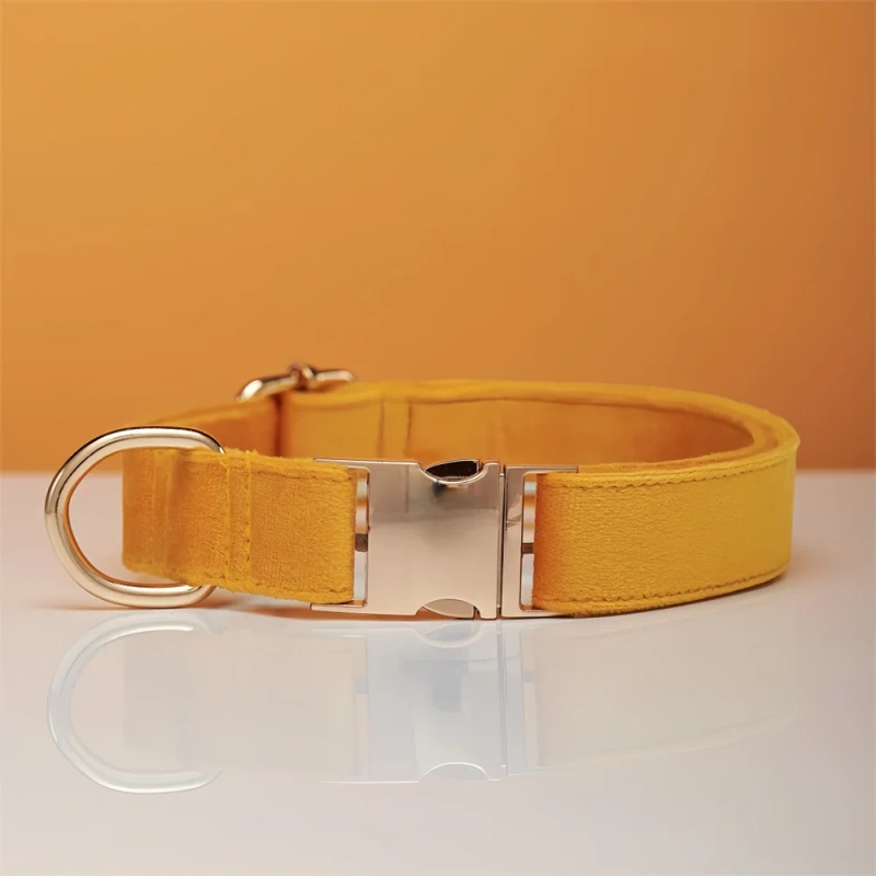 Dog Collar with Engraving Anti-Lost Small Outdoor Walking Dogs Leash Traction Rope Neck Medium Large Dog Corgi Neck Collar