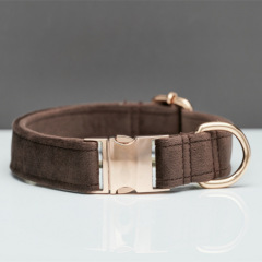 Dog Collar with Engraving Anti-Lost Small Outdoor Walking Dogs Leash