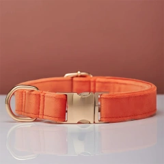 Dog Collar with Engraving Anti-Lost Small Outdoor Walking Dogs Leash Traction Rope Neck Medium Large Dog Corgi Neck Collar