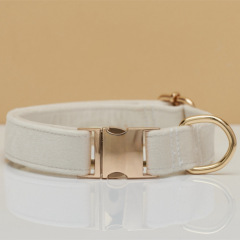 Dog Collar with Engraving Anti-Lost Small Outdoor Walking Dogs Leash