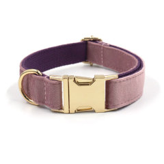 Customzied Contacts Metal Buckle, Thick Velvet Pet Collar