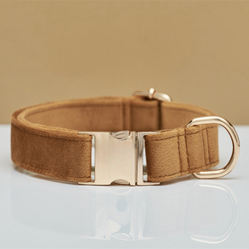 Dog Collar with Engraving Anti-Lost Small Outdoor Walking Dogs Leash