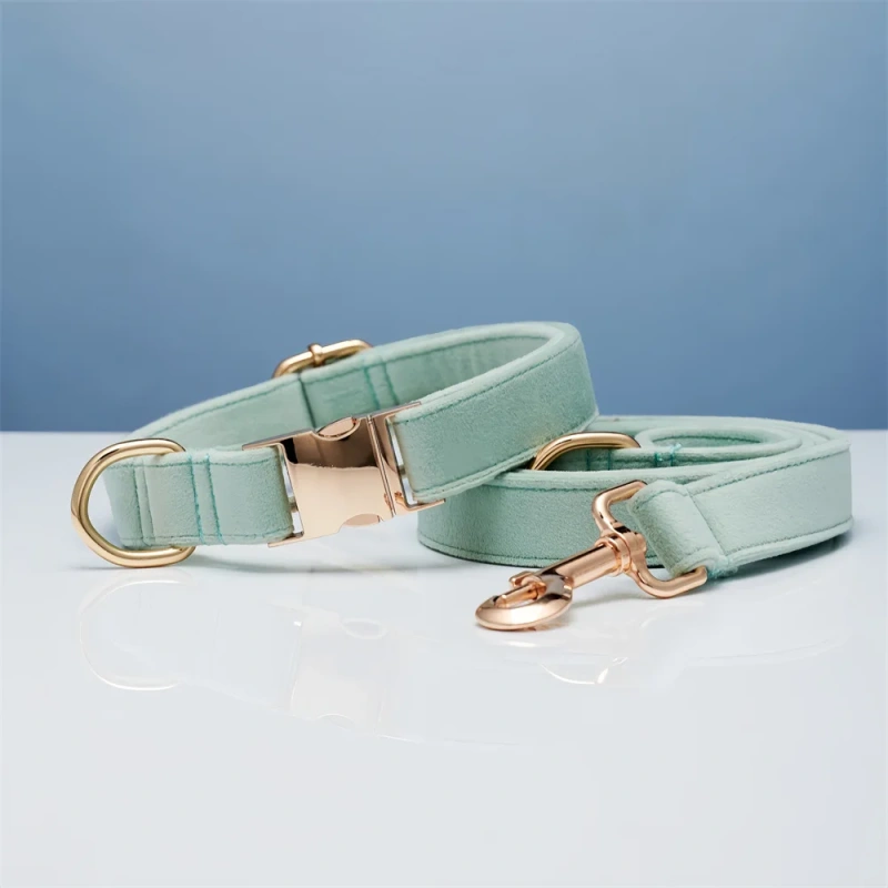 Dog Collar with Engraving Anti-Lost Small Outdoor Walking Dogs Leash Traction Rope Neck Medium Large Dog Corgi Neck Collar