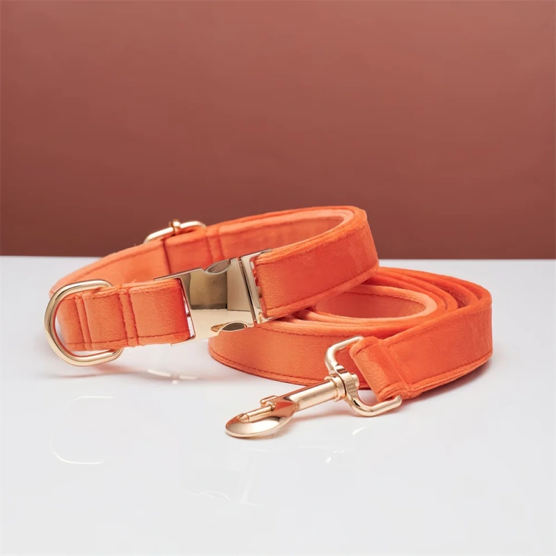 Dog Collar with Engraving Anti-Lost Small Outdoor Walking Dogs Leash Traction Rope Neck Medium Large Dog Corgi Neck Collar
