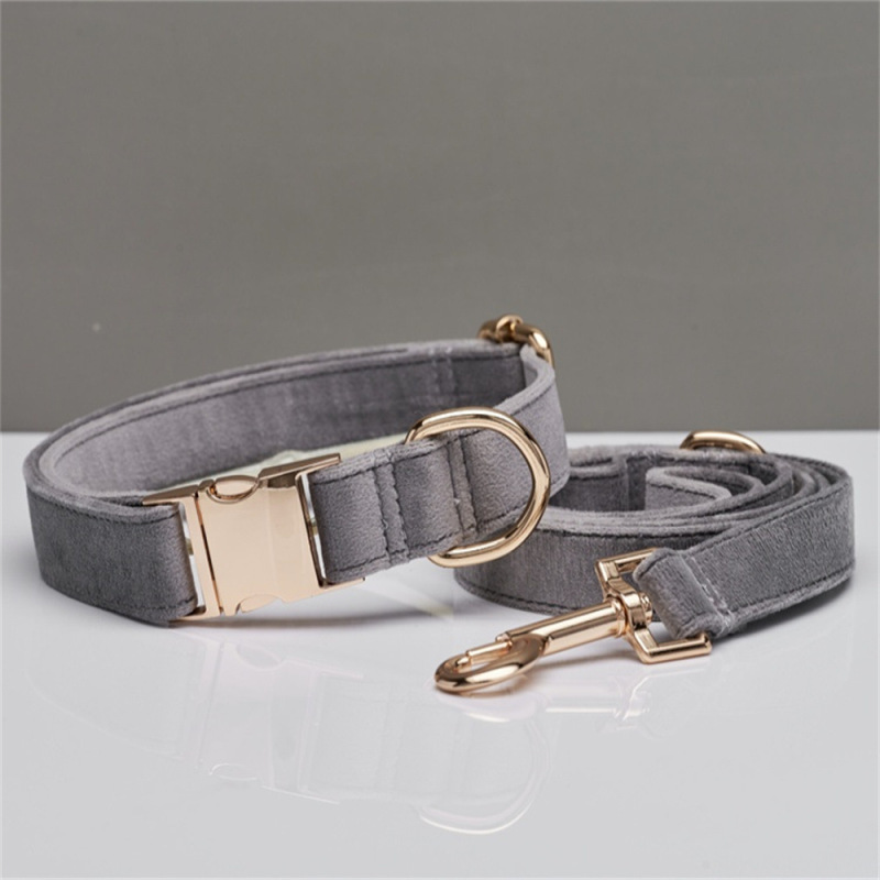Dog Collar with Engraving Anti-Lost Small Outdoor Walking Dogs Leash