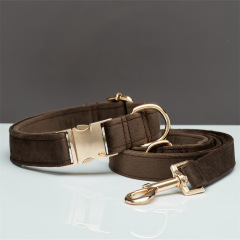 Dog Collar with Engraving Anti-Lost Small Outdoor Walking Dogs Leash