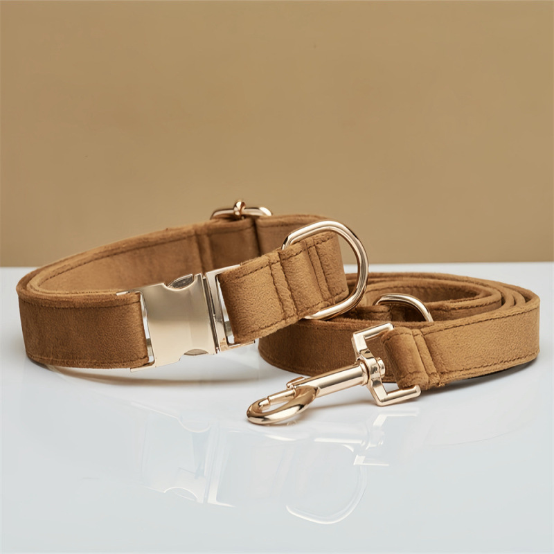 Dog Collar with Engraving Anti-Lost Small Outdoor Walking Dogs Leash