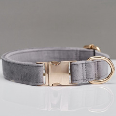 Dog Collar with Engraving Anti-Lost Small Outdoor Walking Dogs Leash