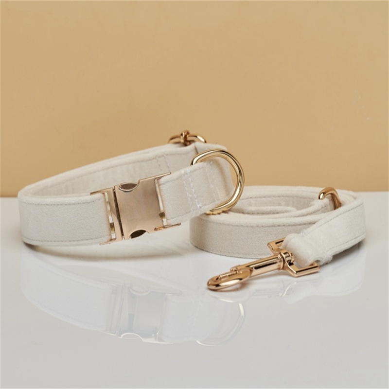 Dog Collar with Engraving Anti-Lost Small Outdoor Walking Dogs Leash