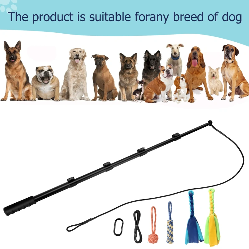 Eco-Friendly Telescopic Retractable Plastic Pet Training Stick Dog and Cat Toy Stick