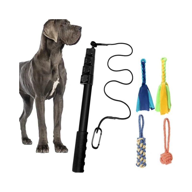 Eco-Friendly Telescopic Retractable Plastic Pet Training Stick Dog and Cat Toy Stick