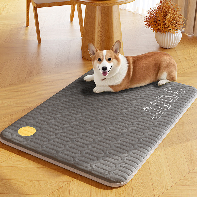 Pet summer ice silk mat