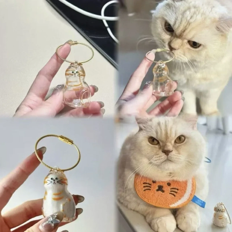 Pet Hair Keepsake Memorial Bottle for Cat Fur Transparent Storage Container for DIY Decoration Gift for Pet Lovers Home Display
