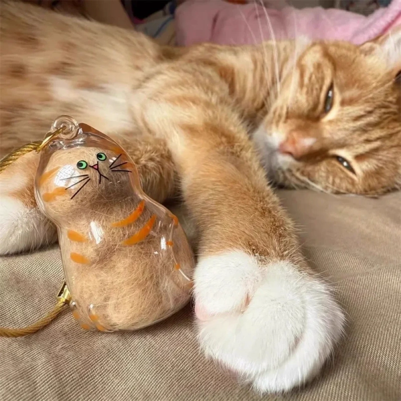 Pet Hair Keepsake Memorial Bottle for Cat Fur Transparent Storage Container for DIY Decoration Gift for Pet Lovers Home Display