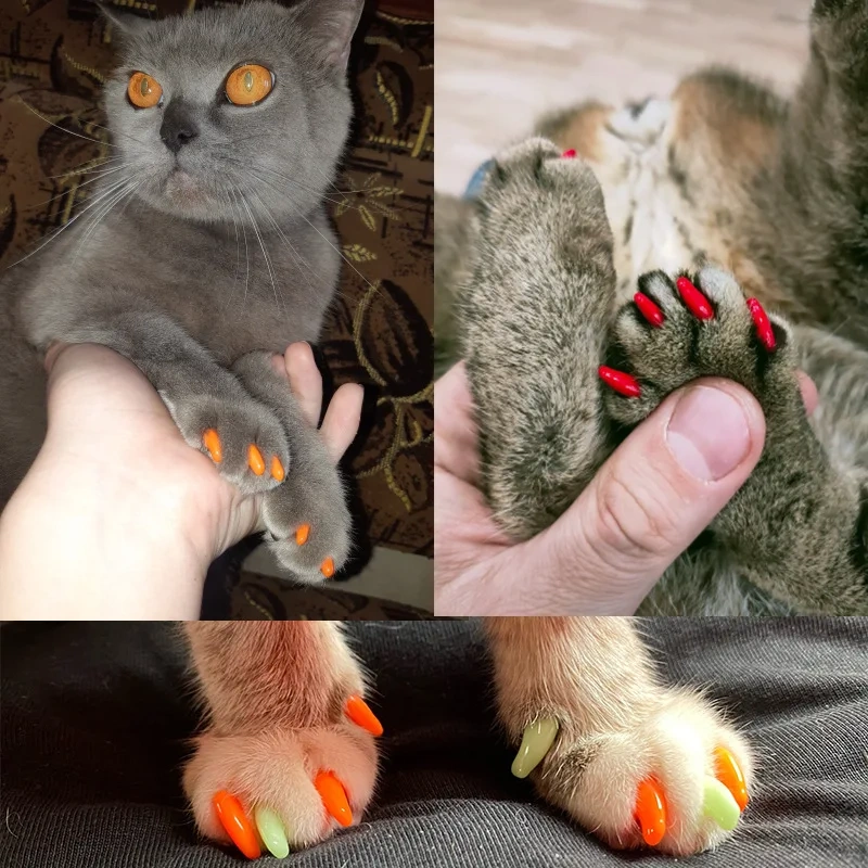 Cat Nail Caps 40Pet Nail Covers Art Claw  with GlueTK TEMU