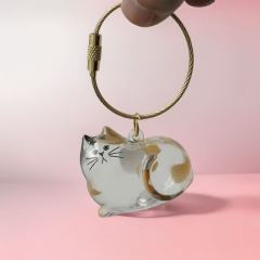 Pet Hair Keepsake Memorial Bottle for Cat