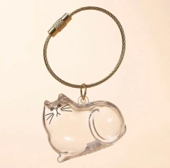 Pet Hair Keepsake Memorial Bottle for Cat Fur Transparent Storage Container for DIY Decoration Gift for Pet Lovers Home Display