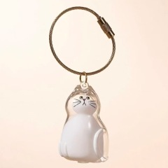 Pet Hair Keepsake Memorial Bottle for Cat